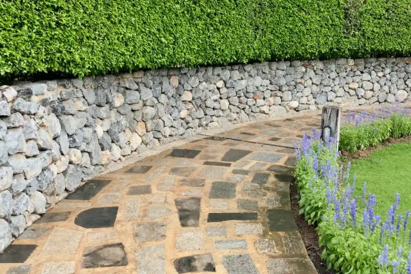 concrete-cement-walkway-in-the-garden-lawn-2026-01-08-07-43-49-utc