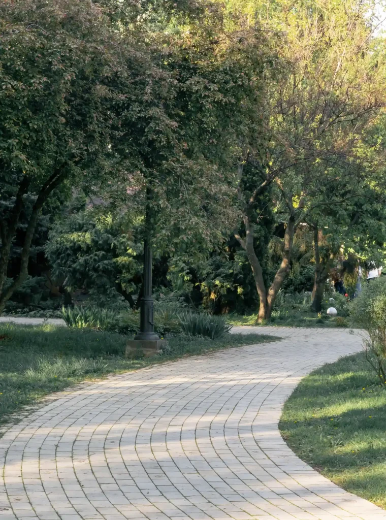 in-the-city-in-a-public-park-a-bright-cobbled-alle-2026-01-07-02-28-05-utc (1)