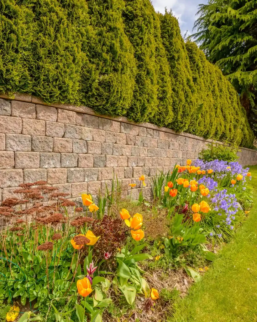the-background-of-stone-wall-with-green-grass-2026-01-11-10-24-59-utc (1)