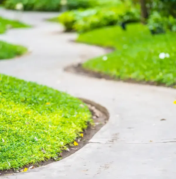 walk-or-running-path-in-the-garden-2026-03-09-04-32-04-utc