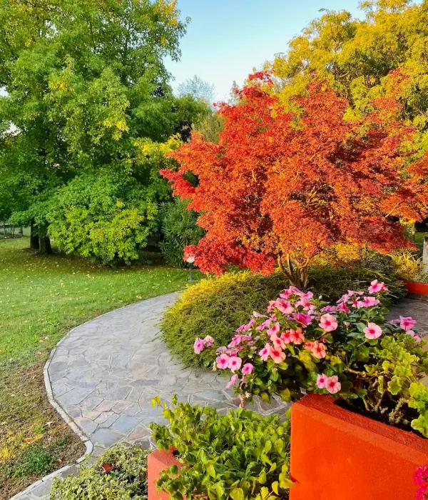 warm-autumn-colours-early-morning-in-italy-2026-01-06-09-32-22-utc