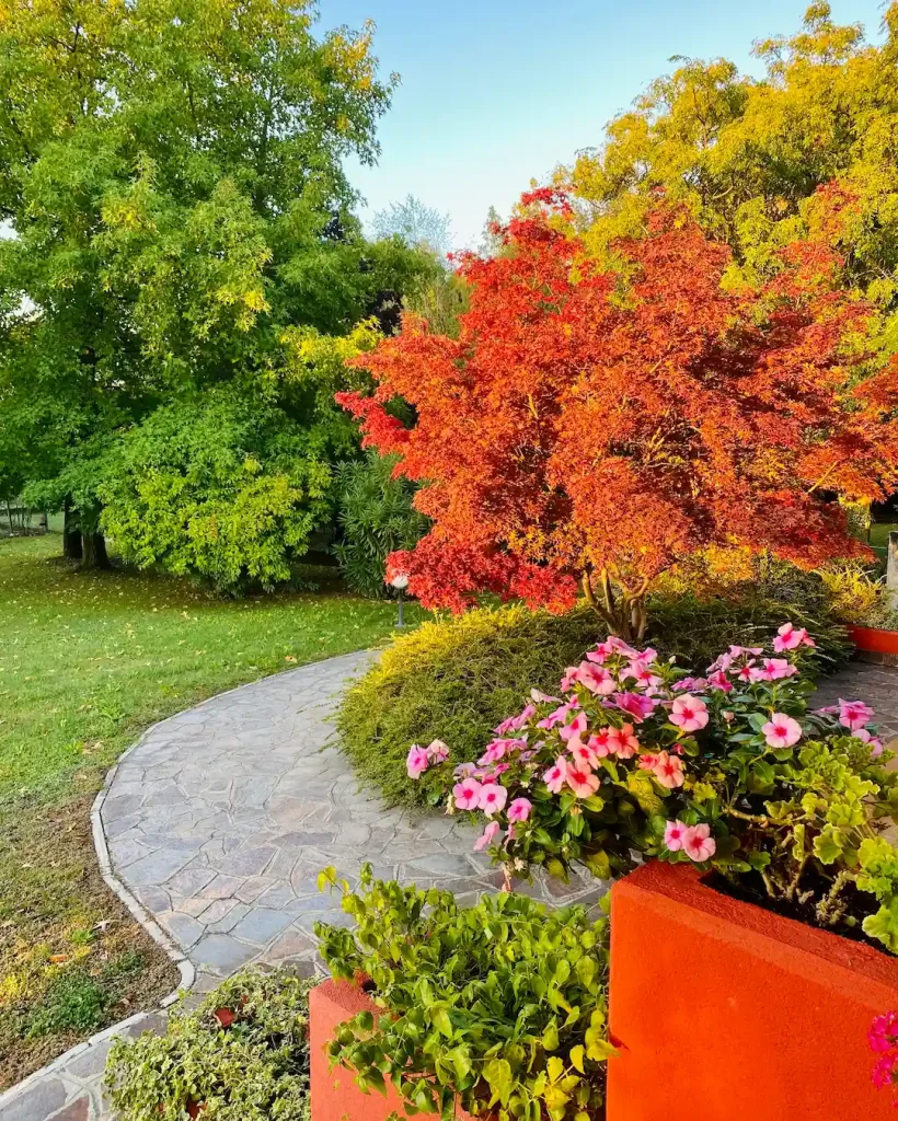 warm-autumn-colours-early-morning-in-italy-2026-01-06-09-32-22-utc
